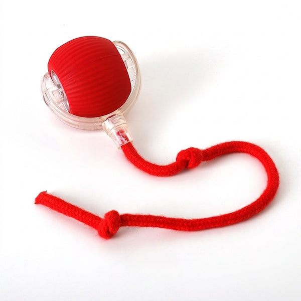Interactive Cat Ball Toy – Rolling Motion Ball with Rope Pull for Cats