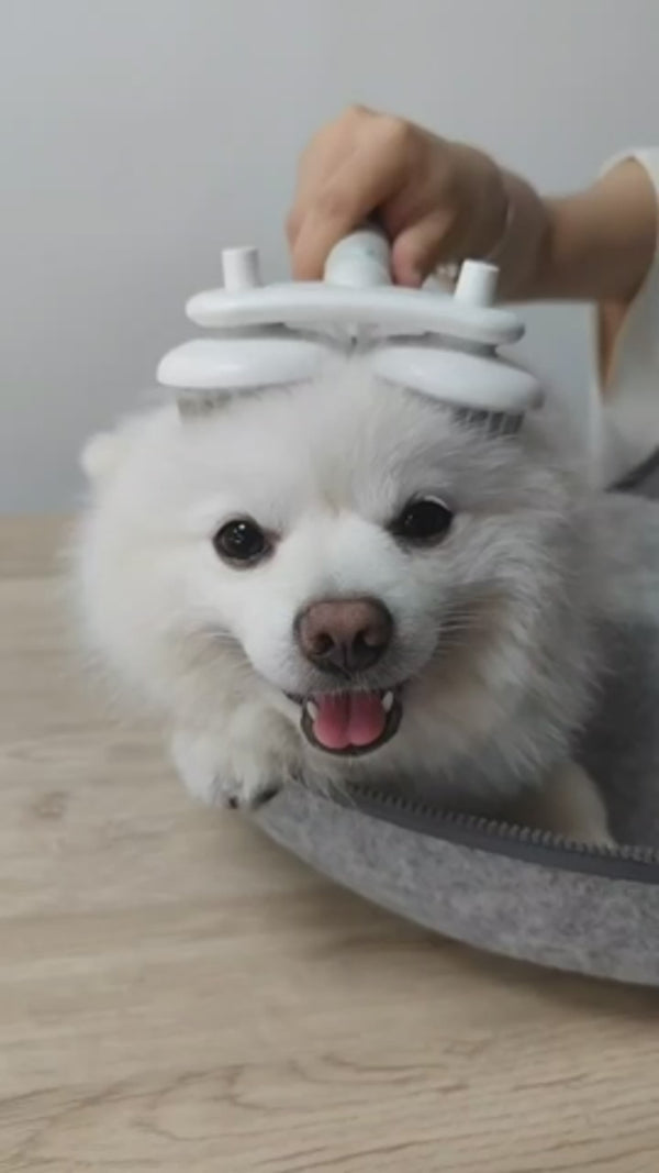 Self-Cleaning Slicker Brush – Double-Headed Cat & Dog Hair Removal Brush