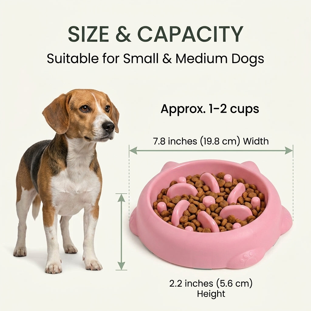 Slow feeder dog bowl size and capacity for small and medium dogs